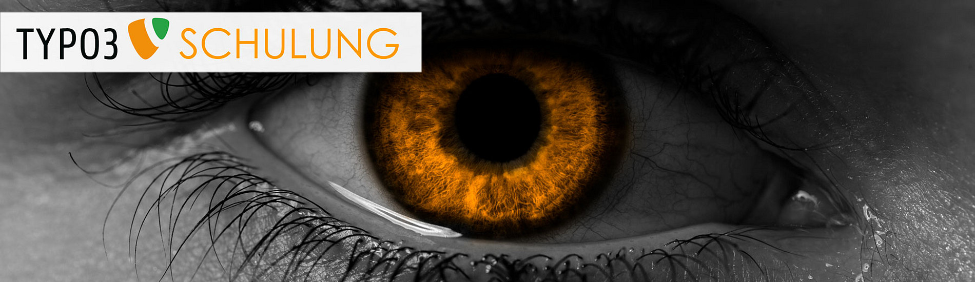 TYPO3 Schulungen